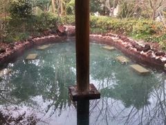 -苏州湾王焰温泉度假酒店
