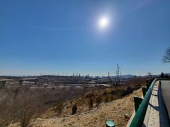 -白水寺森林公园