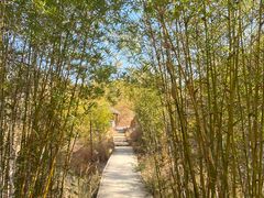 -元谋土林景区(物茂土林)