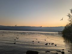 -西昌邛海湿地