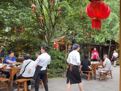 -青城甲(青城山店)