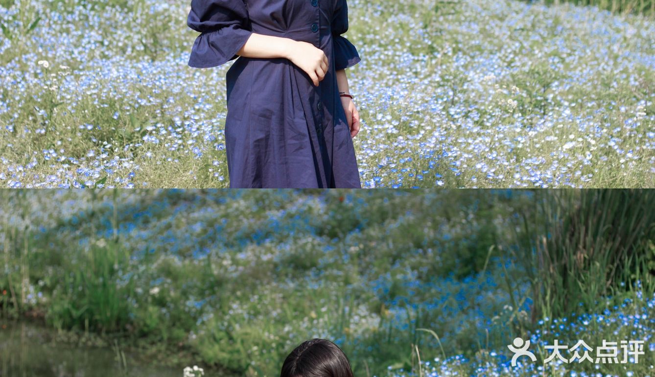 杭州喜林草花海打卡|掉进莫奈花园里啦