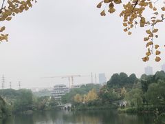 -重庆园博园