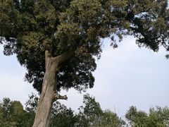 -金堂县云顶石城风景区