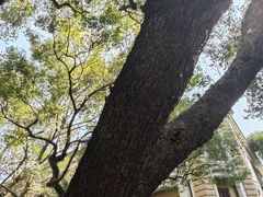 -广州白天鹅宾馆