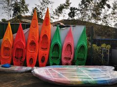 -上海海湾国家森林公园