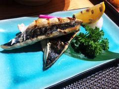 -吉之仙•中国制造•出口级食材日料店(领事馆总店)