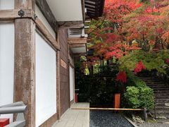 -三千院