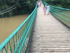 -南宁良凤江国家森林公园