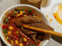 -海底捞火锅(高新万达店)