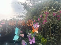 -野象谷景区