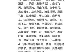 -合肥融创乐园