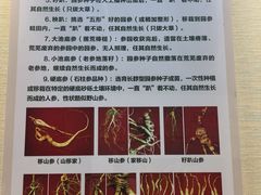 -广东中医药博物馆