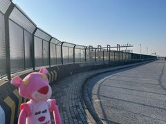 -南汇嘴观海公园