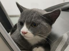 -宠福鑫康馨动物医院·骨科·眼科