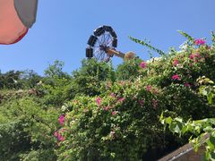 -芽庄珍珠岛游乐园