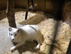 -酷嗒动物文化乐园(cutezoo西溪乐天城店)