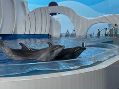 -广州海洋馆