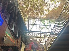 -长鹿旅游休博园