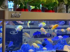 -黄鱼炙夜·烧烤·小龙虾(星荟广场店)
