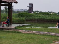 -春花秋色城市公园