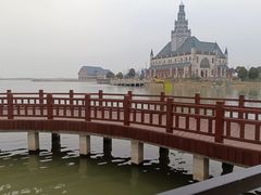 -荷兰花海