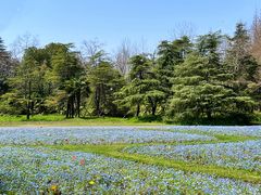 -上海滨江森林公园