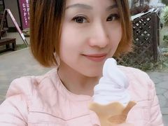 -富士山吉田線五合目