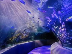 -太平洋海底世界