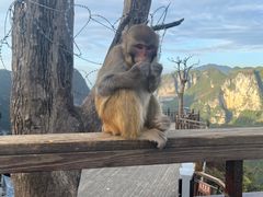 -重庆云阳龙缸景区