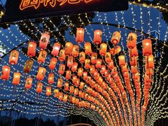 -国色天乡三期陆地乐园