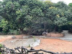 -深圳野生动物园