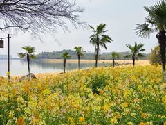 -瑶湖湿地自然保护区