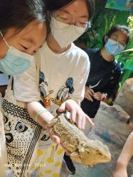 -酷嗒动物文化乐园(cutezoo西溪乐天城店)