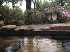 -清远熹乐谷温泉度假酒店
