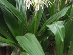 -龙口南山旅游景区