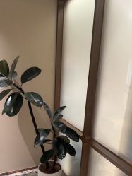 -北京漾格医疗美容医院
