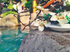 -唐风温泉