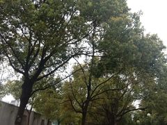 -南京理工大学紫金学院