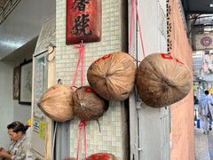 -洪馨椰子
