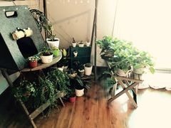 -喵zoo家庭繁育猫舍(尖东智能花园店)