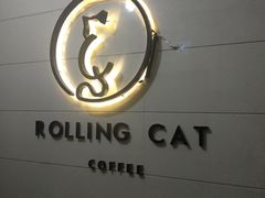 -滚猫咖啡·猫咖·猫友好撸猫(未来城店)
