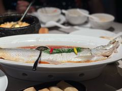 清蒸白水鱼-醉庐·新上海菜(南京西路店)