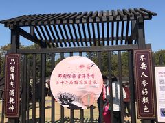 -香雪海