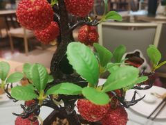 -椿记烧鹅(叠彩店)