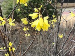 -长白岛森林公园