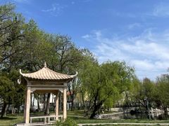 -莱西月湖公园