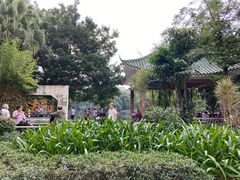 -荔湾湖公园