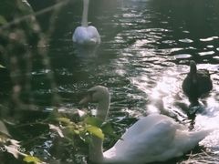 -长白岛森林公园