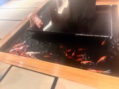 -月龍吟(朝龙汇店)